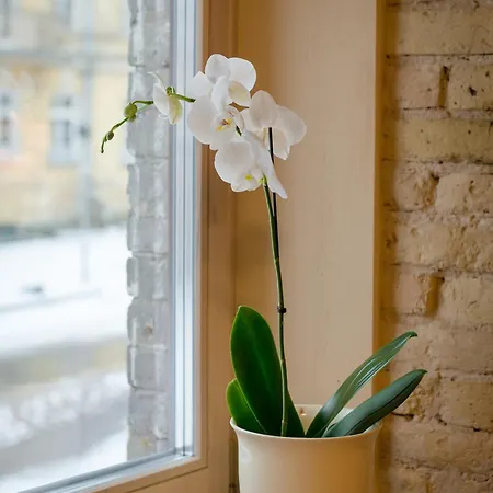 Apartament New Town 2